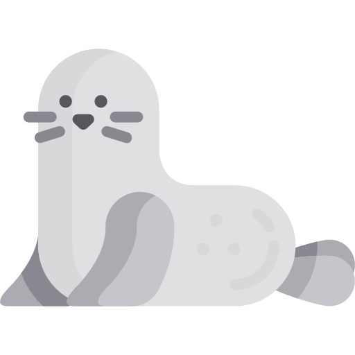 cartoon seal